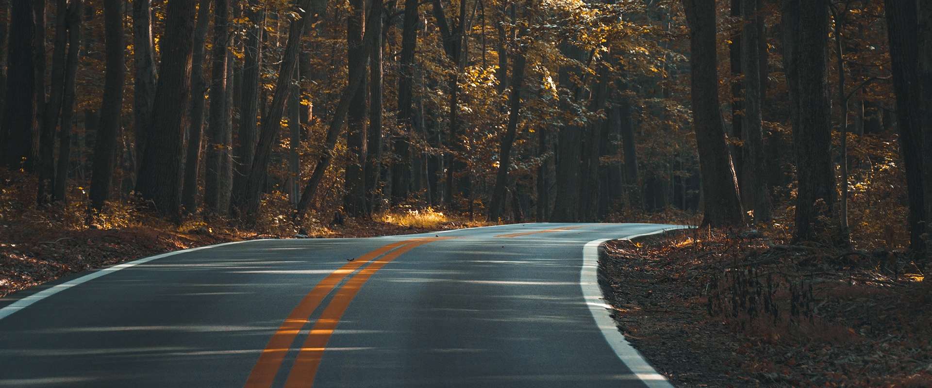 60064d5344bf9d1cb677e6ec dan carlson 141263 unsplash 1