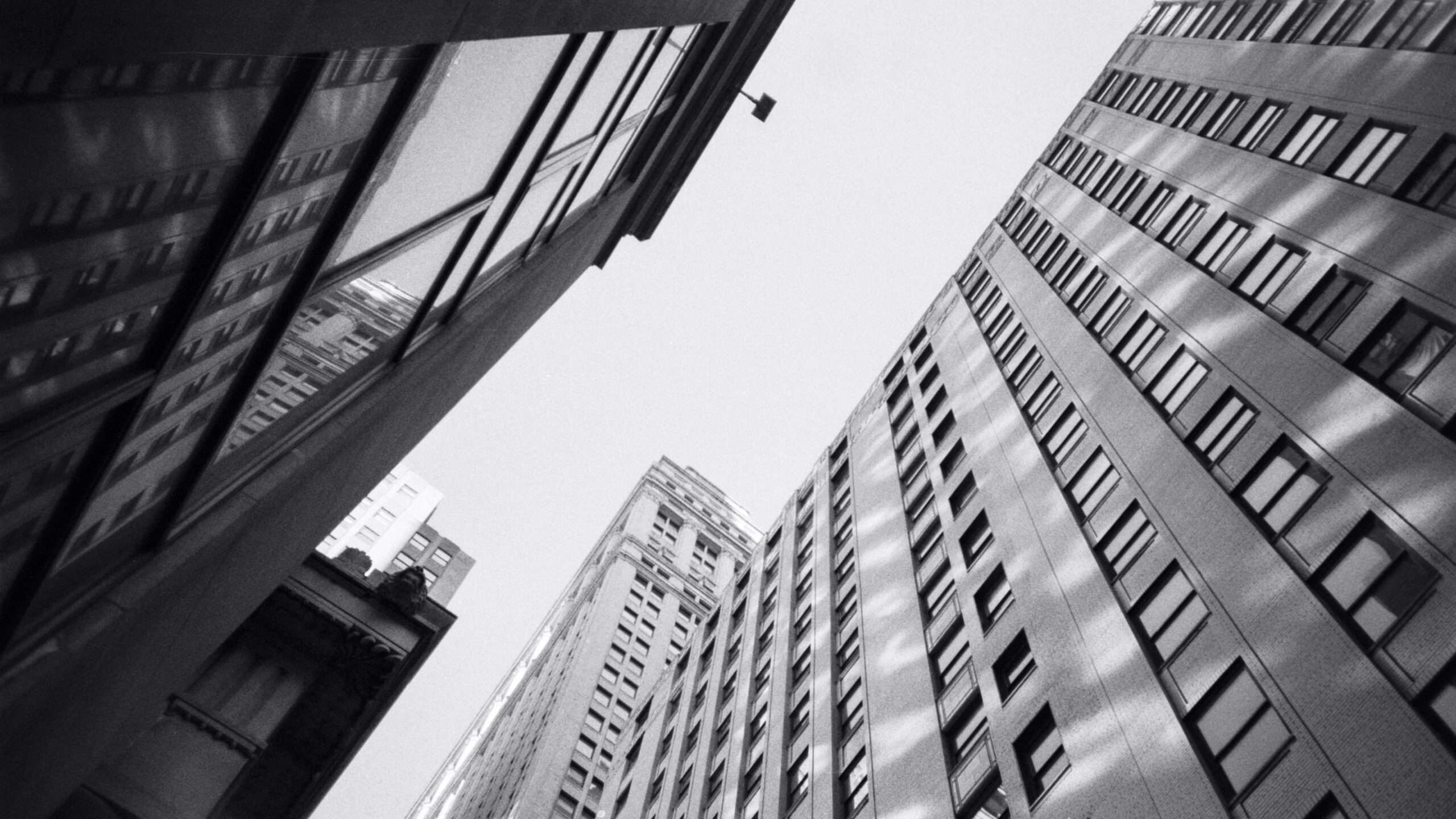 618ed449c317294e06d24a80 gemma evans X9BaomHPW s unsplash 1 scaled
