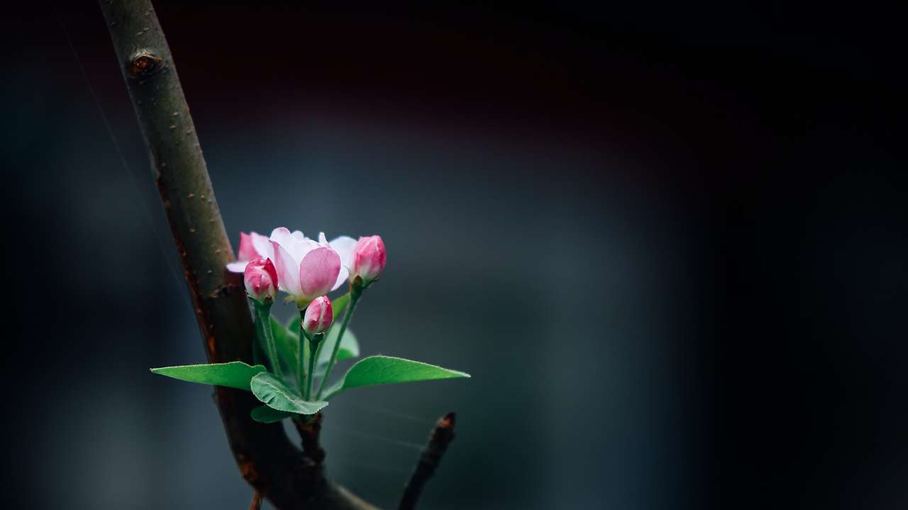 6259c3286ddba82cb4c128e2 thumb alaric duan mL0y6 AJXJU unsplash copy 1