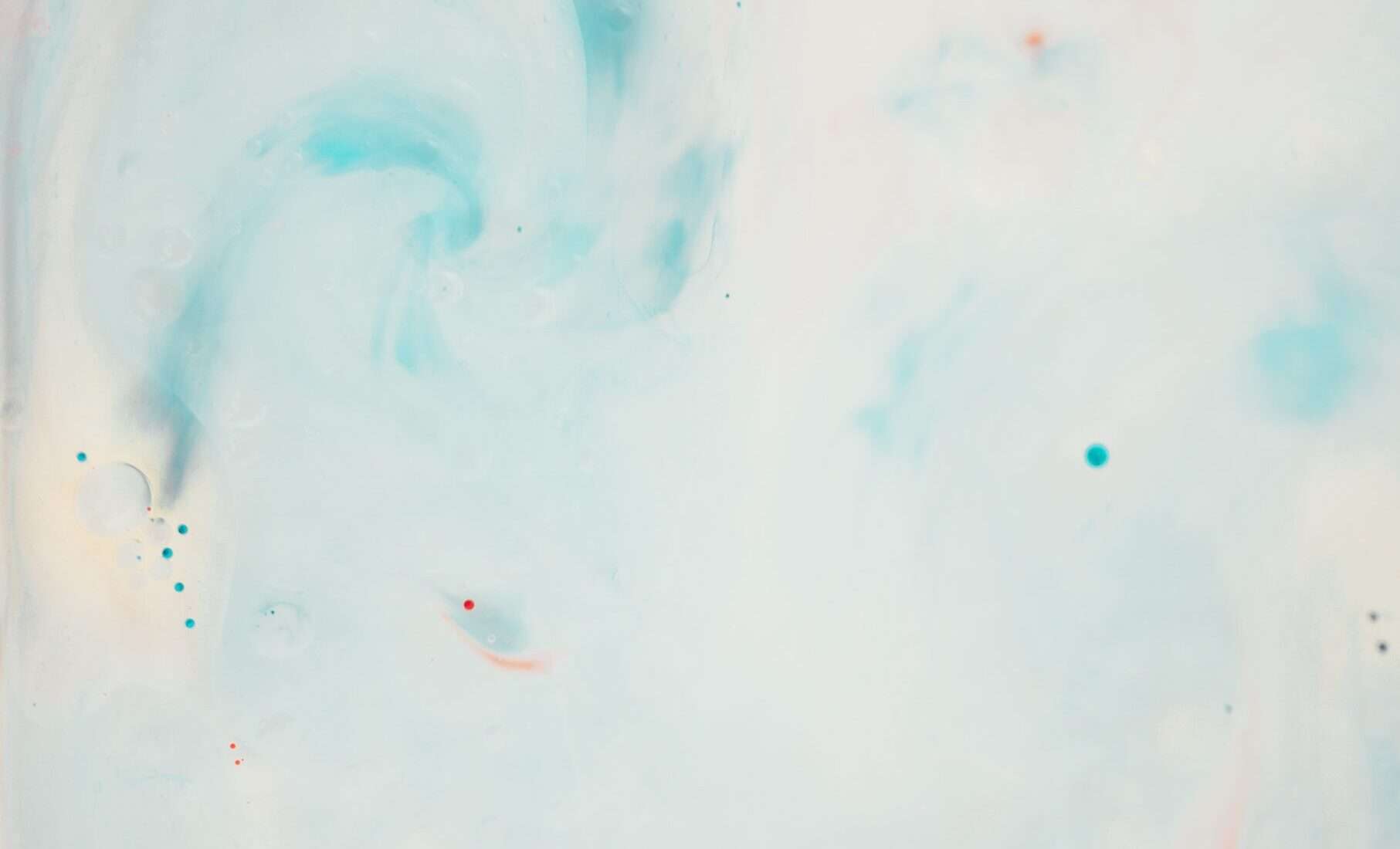 annie spratt 0ZPSX mQ3xI unsplash 1 scaled e1704990895527