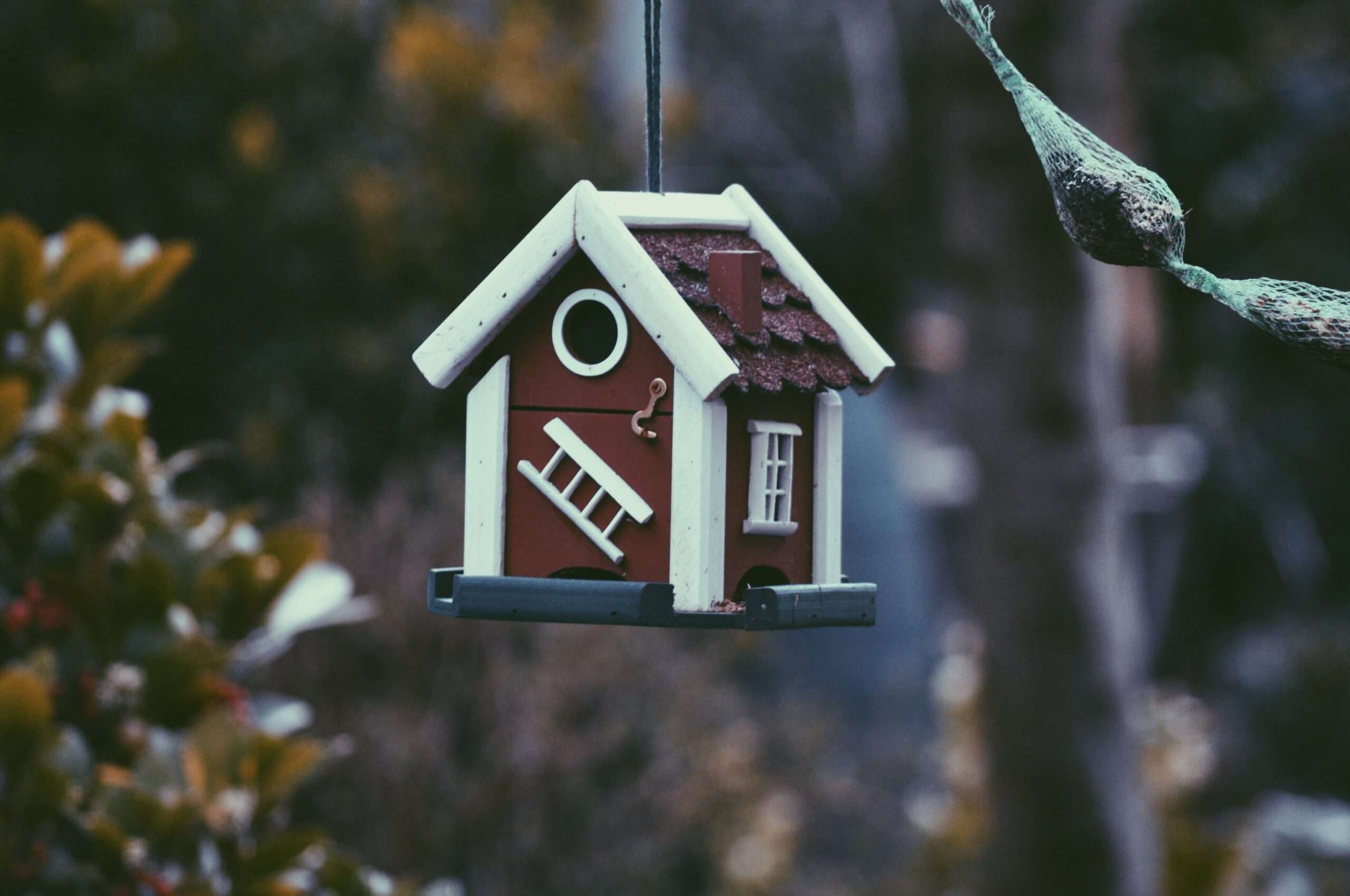 harmen jelle van mourik 0yfWDwHOB0g unsplash scaled