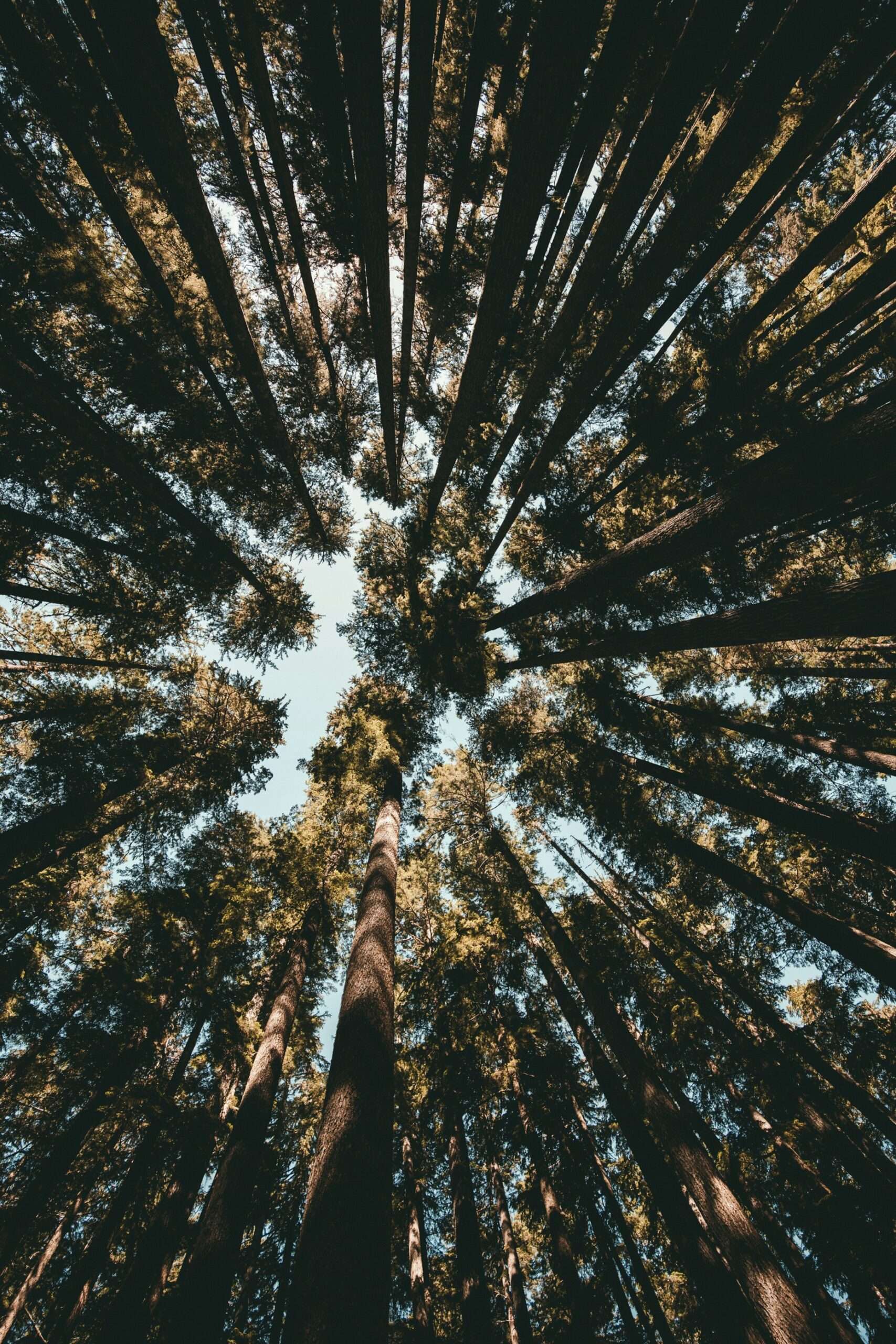 kal visuals a07jRijBQ38 unsplash scaled