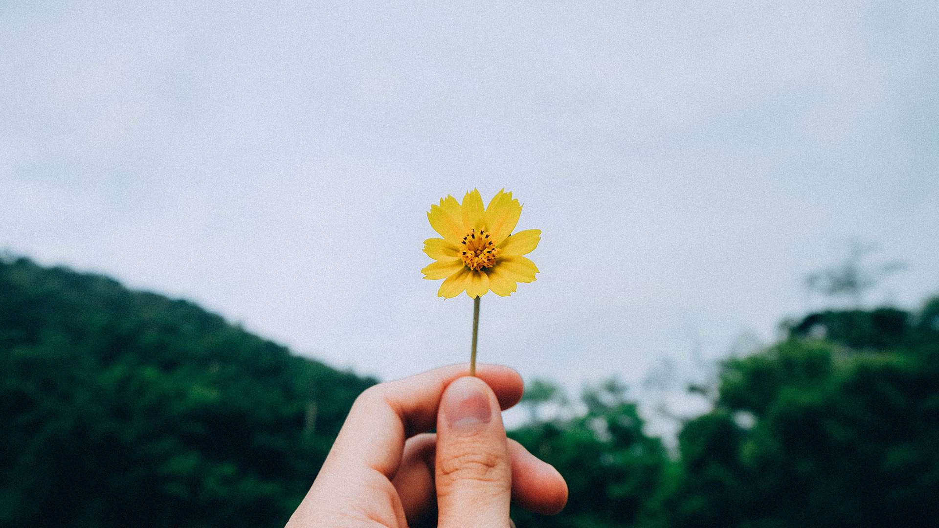 kawin harasai 2Ev2aUB8NJI unsplash copy