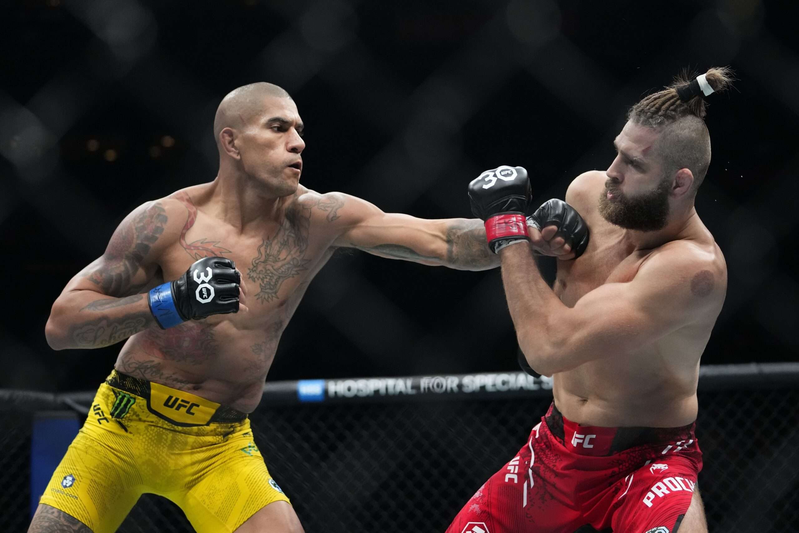 A photo from UFC 300
