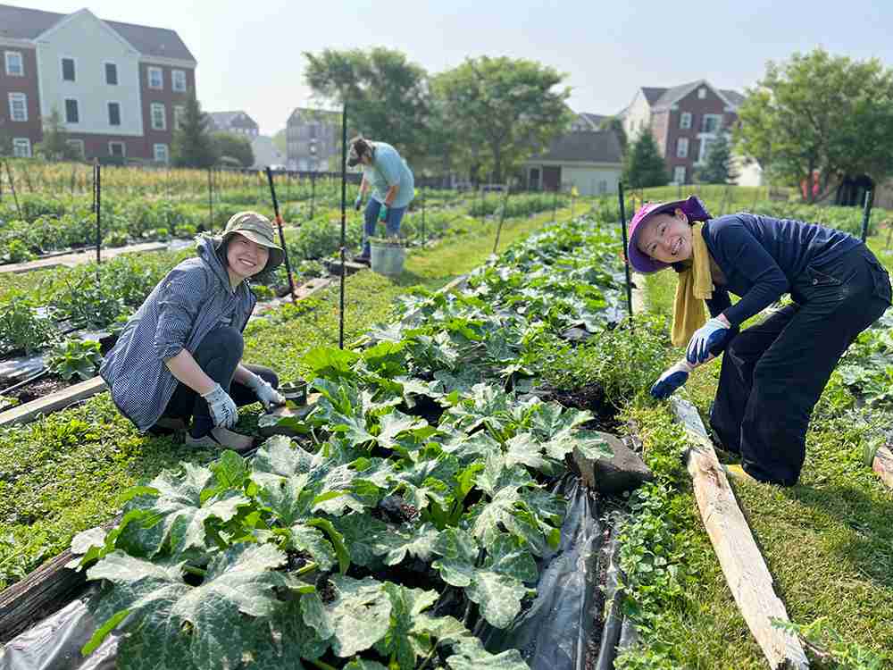 Churches with community gardens