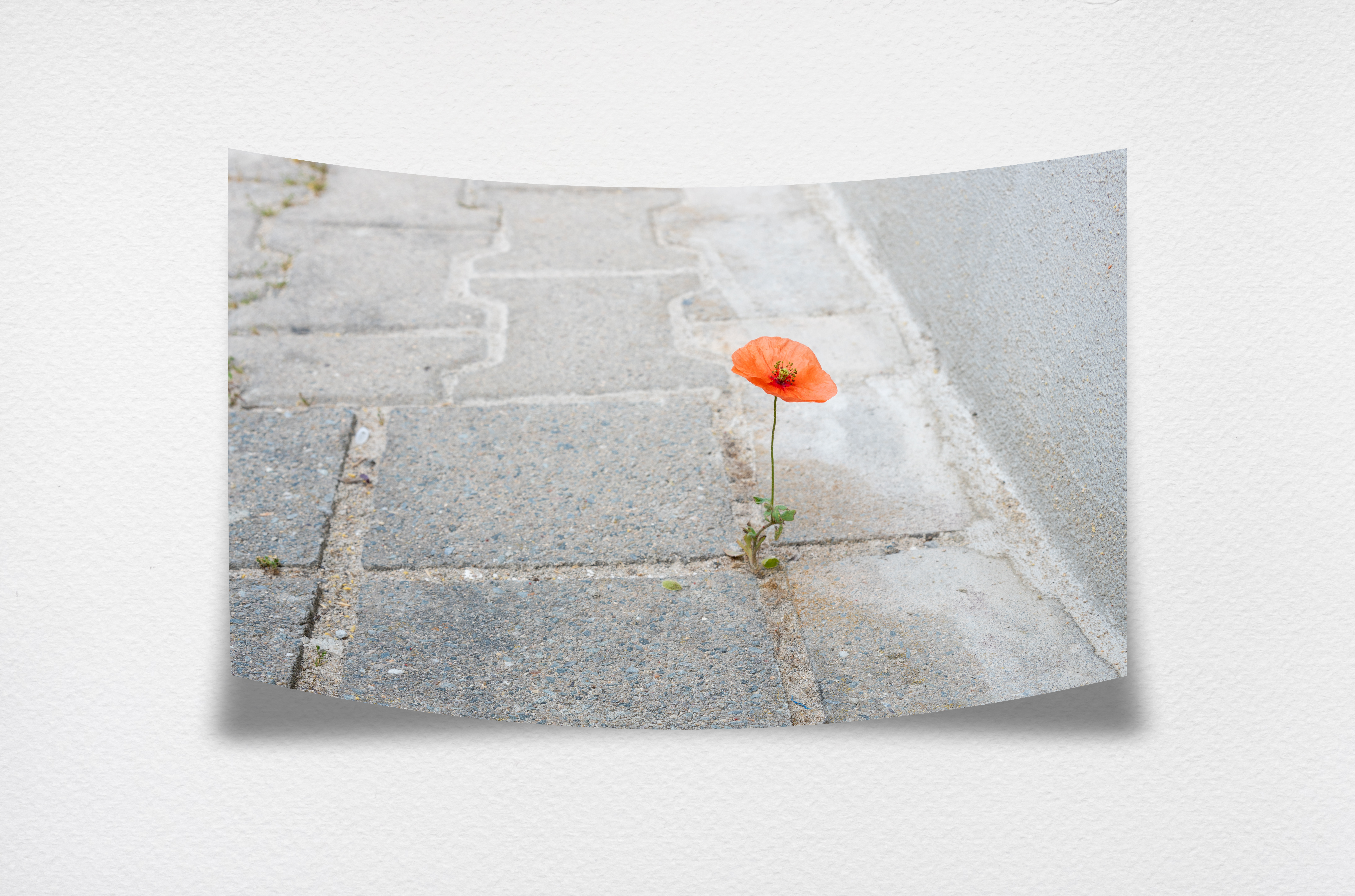 Gratitude paper